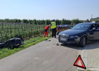 Sandomierz: Nietypowa interwencja w Koćmierzowie