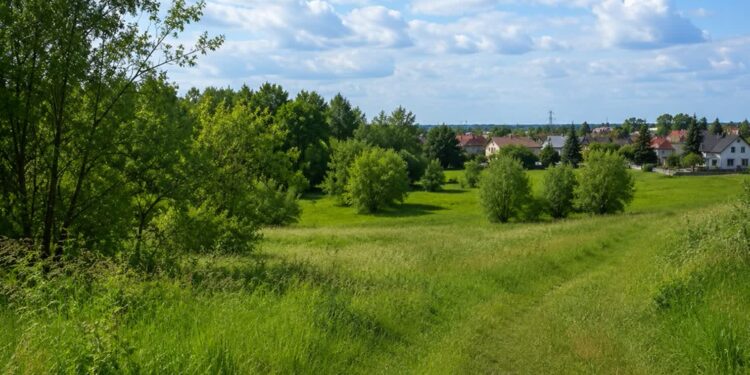 Mielec: Mieszkańcy Rzochowa mają swój pomysł  na zagospodarowanie terenu