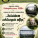 Tarnobrzeg. „Szlakiem szklanych zdjęć” – spacer i historia miasta