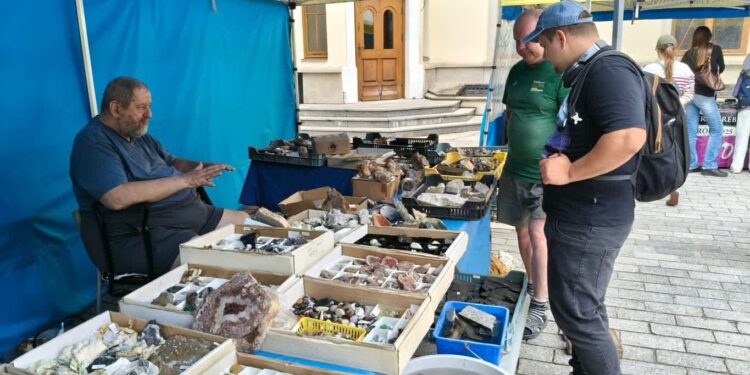 Tarnobrzeg. Duże zainteresowanie giełdą minerałów
