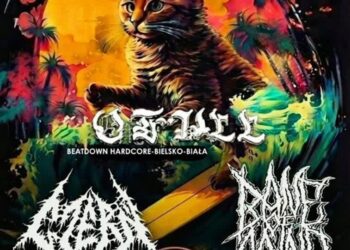 Tarnobrzeg. Koncert charytatywny w Wake Parku. Dochód dla schroniska „U Machowiaków”