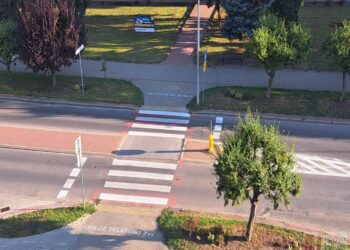 Tarnobrzeg. Odłóż telefon i żyj