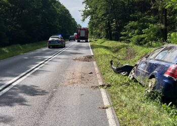 Jeżowe: Dramat na drodze wojewódzkiej. Nie zyje rowerzysta