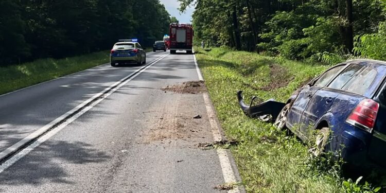 Jeżowe: Dramat na drodze wojewódzkiej. Nie zyje rowerzysta