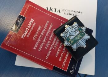 Stalowa Wola: Sąsiad okazał się złodziejem