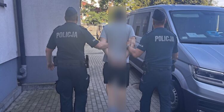 Tarnobrzeg: Podpalał pojemniki na śmieci i groził świadkowi. 30-latek trafił do aresztu