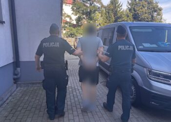 Tarnobrzeg: Podpalał pojemniki na śmieci i groził świadkowi. 30-latek trafił do aresztu