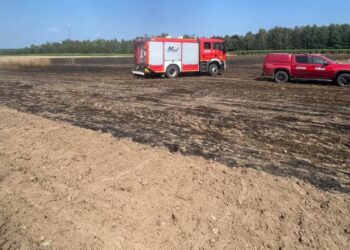 Region: Żniwa pod strażą. Strażacy ostrzegają przed pożarami na polach