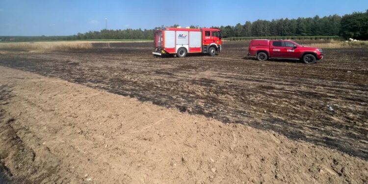 Region: Żniwa pod strażą. Strażacy ostrzegają przed pożarami na polach