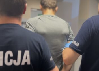 Stalowa Wola: Tymczasowy areszt dla 32-latka za serię kradzieży