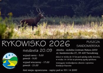 Tarnobrzeg. Posłuchaj jeleni na żywo. Centrum Natura 2000 zaprasza