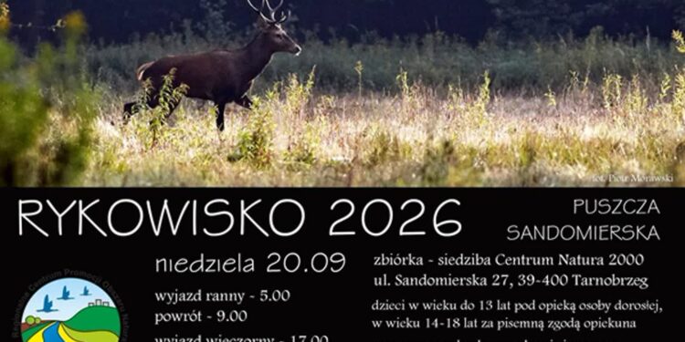 Tarnobrzeg. Posłuchaj jeleni na żywo. Centrum Natura 2000 zaprasza