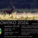 Tarnobrzeg. Posłuchaj jeleni na żywo. Centrum Natura 2000 zaprasza