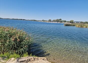 Tarnobrzeg. Zgubione dzieci, zakazane kąpiele i problemy z parkowaniem. Straż miejska podsumowuje sezon nad jeziorem