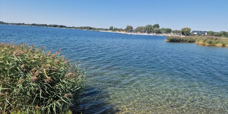 Tarnobrzeg. Zgubione dzieci, zakazane kąpiele i problemy z parkowaniem. Straż miejska podsumowuje sezon nad jeziorem
