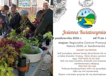 Tarnobrzeg. Jesienna Kwiatowymiana!