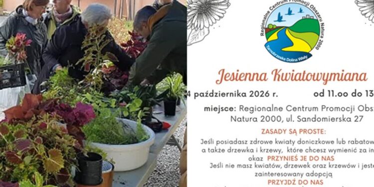 Tarnobrzeg. Jesienna Kwiatowymiana!