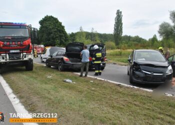Tarnobrzeg. Zderzenie sześciu pojazdów na Wisłostradzie