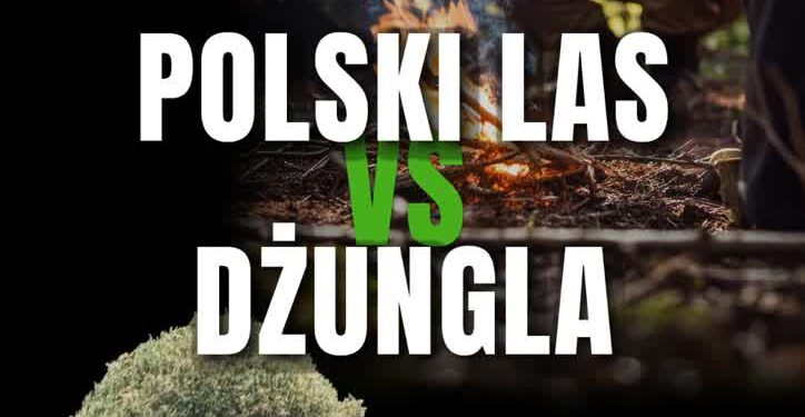 Rzeszów/Region: Już po raz 7. Carpathia Hunting & Guns
