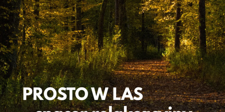 Stalowa Wola: „Prosto w las – spacer relaksacyjny”