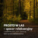 Stalowa Wola: „Prosto w las – spacer relaksacyjny”