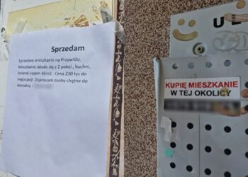 Tarnobrzeg. Ile kosztuje mieszkanie?