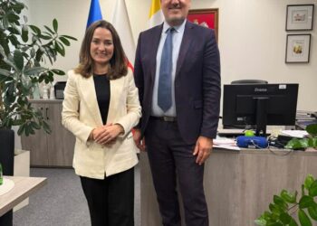 Sandomierz, Dwikozy: Rekordowe dochody i kluczowe inwestycje