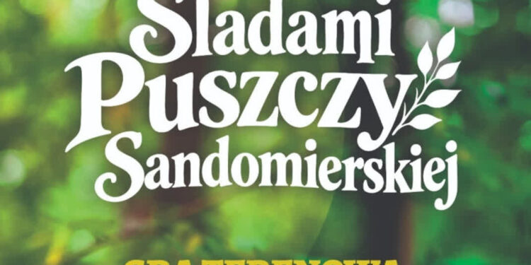 Stalowa Wola: Wyrusz w piątek śladami Puszczy Sandomierskiej – gra terenowa na Ciemnym Kącie