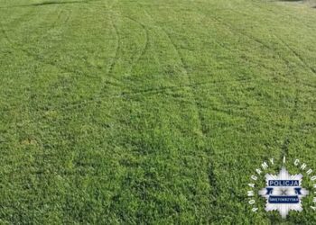 Ożarów: Nastolatkowie zniszczyli murawę boiska w Wólce Tarłowskiej. Sprawą zajmie się sąd rodzinny