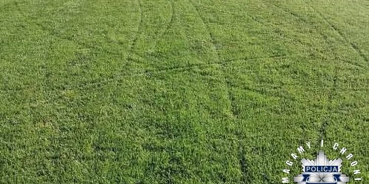 Ożarów: Nastolatkowie zniszczyli murawę boiska w Wólce Tarłowskiej. Sprawą zajmie się sąd rodzinny