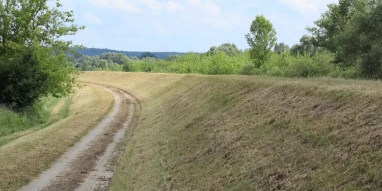 Mielec: Będzie modernizacja wałów przeciwpowodziowych na Wisłoce