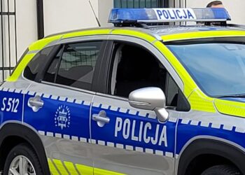 Sandomierz: Jedna kontrola, kilka naruszeń. 49-latek odpowie przed sądem