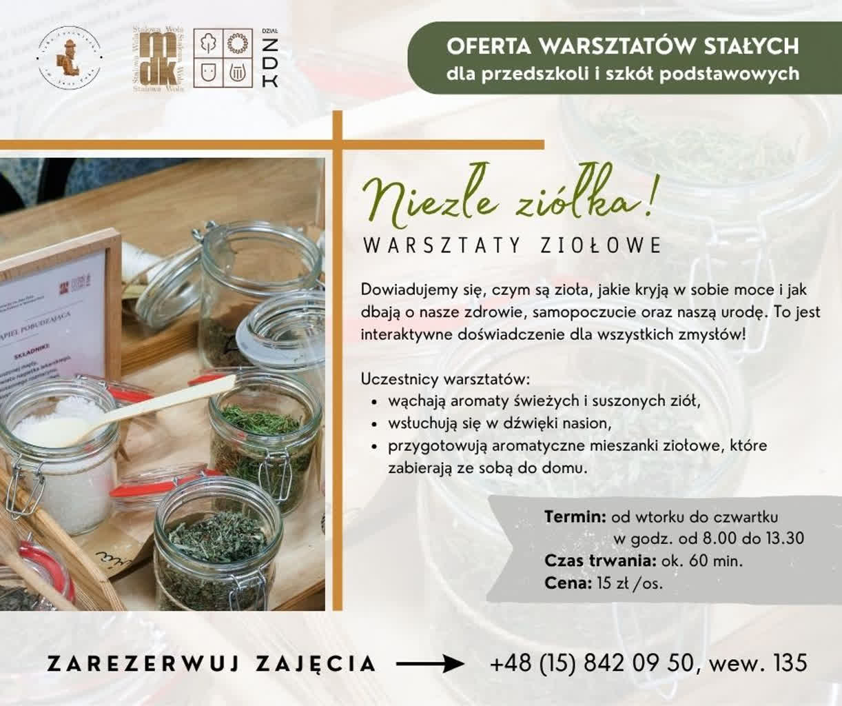 mdk-warsztaty-ziolka.jpg